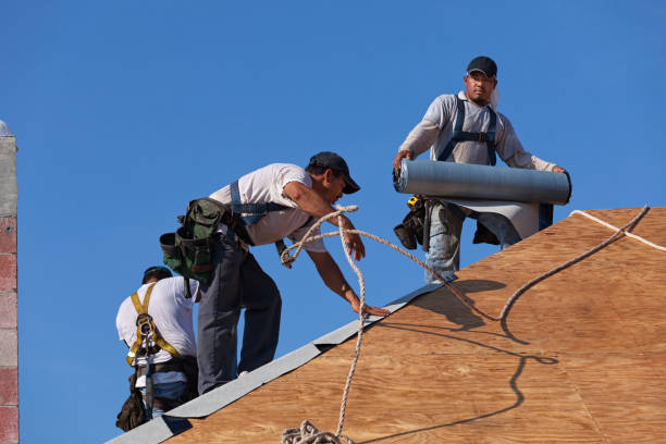 Roof Gutter Cleaning in East Prairie, MO