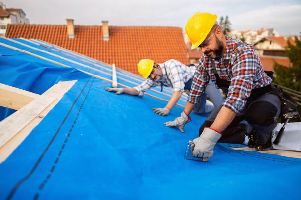 Best Roof Leak Repair  in East Prairie, MO